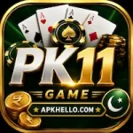 pk11