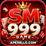 sm999